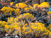 Craters of the Moon Nat'l Monument, ID : 