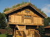 Allen > beautifully carved Norwegian storehouse in the heritage park. 8/11. KB