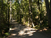Allen > The Rockefellers owned much of the land that became Acadia NP, and their many scenic carriage roads have been maintained for hikers and bikers.