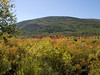 Allen > Acadia National Park on Mount Desert Island. This mountain (Cadillac Mountain) is, I believe, the highest point on the Atlantic Coast.