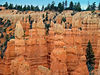 Bryce Canyon Fairyland : 